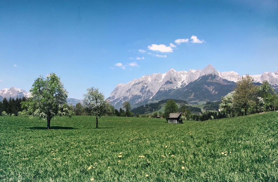 Buchberg Bischofshofen © Tourismusverband Bischofshofen 