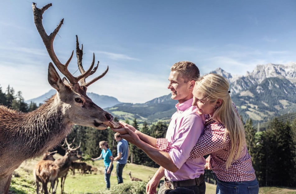 Sommerzeit im Salzburger Land © Hochkönig Tourismus GmbH - Johannes Felsch